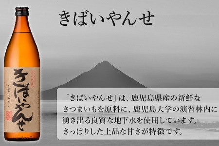 047-25 鹿児島限定焼酎「南之方・きばいやんせ」1.8Lセット