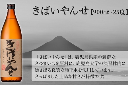 047-27 鹿児島限定焼酎「南之方・きばいやんせ」900mlセット