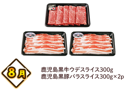 【全4回】南九州トクトク定期便ライトMK-TKL