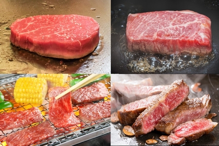 【全6回】鹿児島黒毛和牛まるごと堪能セット定期便 084-15