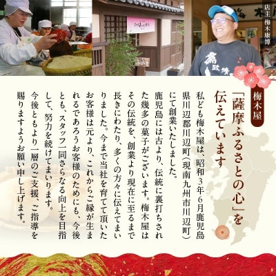 「懐かしかー」かごっま名菓たもいやんせセット【配送不可地域：離島】