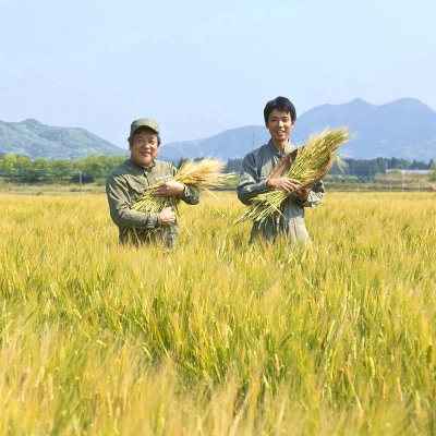おふくろ調味料セット