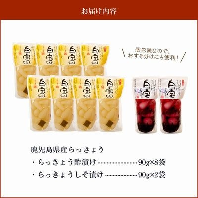 鹿児島県産砂丘らっきょう漬けセット