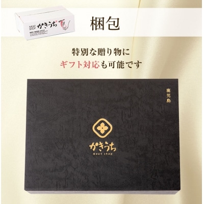 鹿児島県産黒毛和牛ハンバーグ10個 合計 1.5kg【配送不可地域：離島】