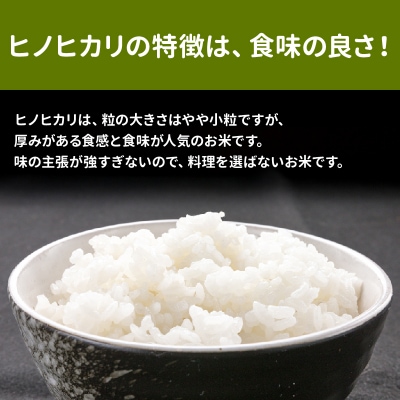 鹿児島県産ヒノヒカリ5kg