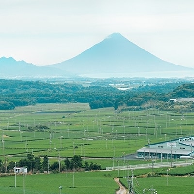 かわいいパッケージの高級知覧茶2本ギフト