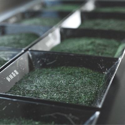 ギフトにおすすめ!知覧茶3本セット