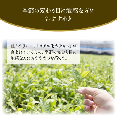 【けやき製茶】紅ふうき烏龍茶ティーバッグ5本セット