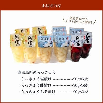 鹿児島県産砂丘らっきょうプレミアムセット