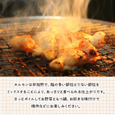 鹿児島県産黒毛和牛ホルモンミックス5パック【配送不可地域：離島】