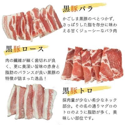 鹿児島県産 黒牛黒豚BBQセット650g【配送不可地域：離島】