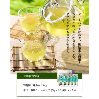 知覧茶水出し煎茶ティーバッグ5本セット
