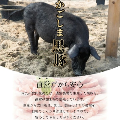 かごしま黒豚モモ切落し1kg ＆ 黒豚ミンチ1.2kg【配送不可地域：離島】