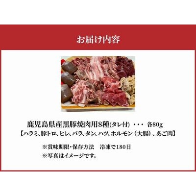 鹿児島県産黒豚 焼肉用8選(タレ付)【配送不可地域：離島】