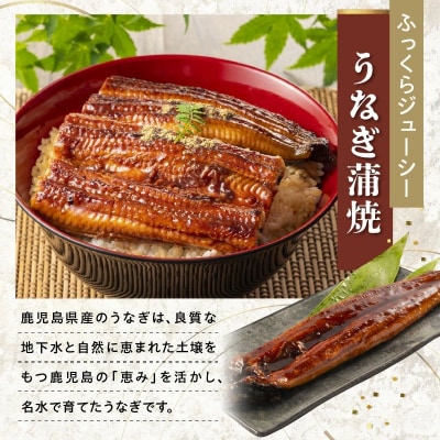 かごしま黒豚しゃぶしゃぶ用4パック・鹿児島県産ウナギ2尾の贅沢セット【配送不可地域：離島】