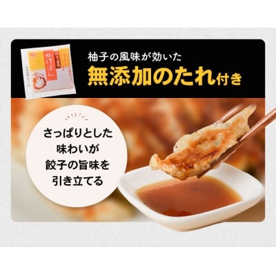 黒毛和牛ハンバーグ・黒豚餃子セット【配送不可地域：離島】