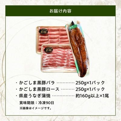 かごしま黒豚しゃぶしゃぶ用2パック・鹿児島県産ウナギ1尾のプチ贅沢セット【配送不可地域：離島】