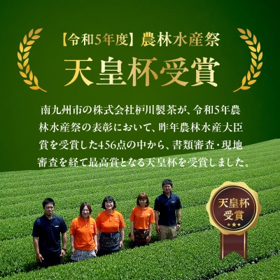 枦川製茶の知覧茶 緑茶ティーバッグセット