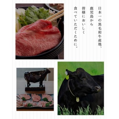 鹿児島県産黒毛和牛サーロインステーキ600g【配送不可地域：離島】