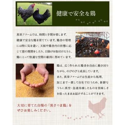 黒さつま鶏しゃぶしゃぶ4～5人前【配送不可地域：離島】