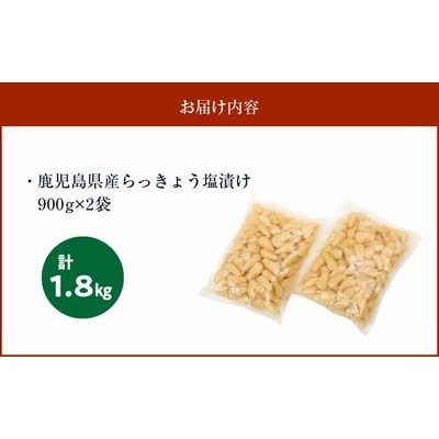 鹿児島県産砂丘らっきょう塩漬け1.8キロ【配送不可地域：離島】