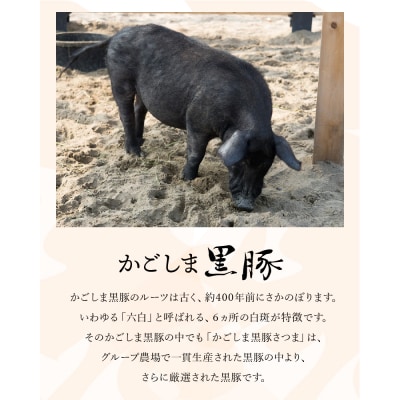 南九州市産かごしま黒豚さつまバラエティ 3.12kg【配送不可地域：離島】