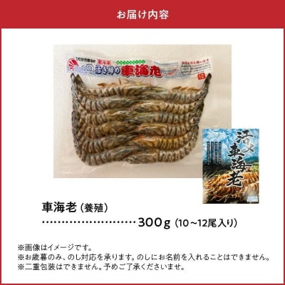 活き〆冷凍車海老LLサイズ【配送不可地域：離島】