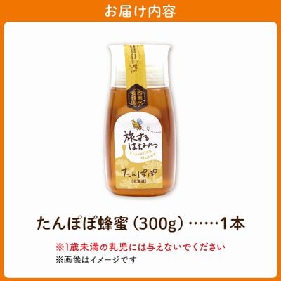 旅するはちみつ300g【たんぽぽ蜂蜜】