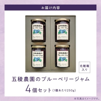 ブルーベリージャム 250g×4個