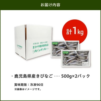 鹿児島県産キビナゴ1kg【配送不可地域：離島】