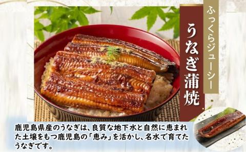 106-01 かごしま黒豚しゃぶしゃぶ用4パック・鹿児島県産ウナギ2尾の贅沢セット