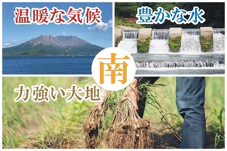 【全4回】南の大地で育てられた旬の野菜・果物定期便 017-15