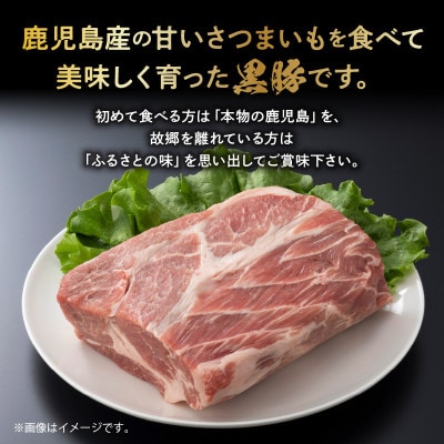 鹿児島黒豚肩ロースブロック まるごと塊のまま2.2~2.5kg 008-76【配送不可地域：離島】