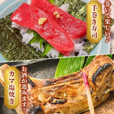 鹿児島近海キハダマグロ1尾 008-57【配送不可地域：離島】