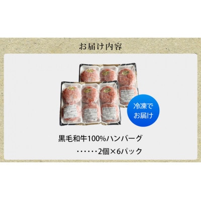 黒毛和牛100%ハンバーグ(2個入×6パック)【配送不可地域：離島】