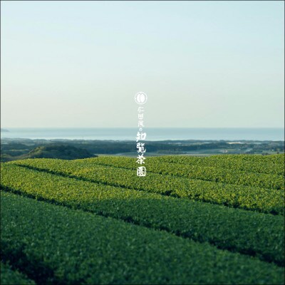 【令和8年産 新茶予約】知覧茶園のオリジナルペットボトル24本入