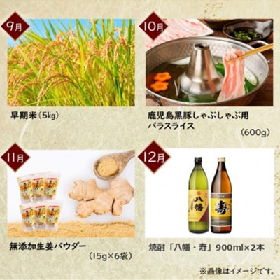 【発送月固定定期便】南九州市川辺うまいもん定期便全12回【配送不可地域：離島】