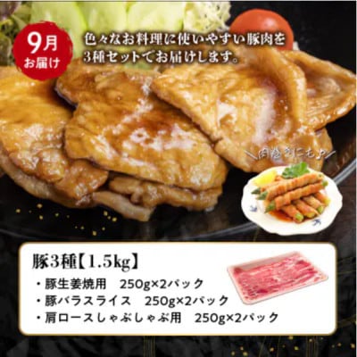 【発送月固定定期便】鹿児島県産 カミチク豚 定期便(南九州市)全4回【配送不可地域：離島】