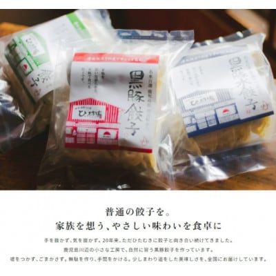 【発送月固定定期便】ひぃ坊家の餃子定期便　黒豚餃子詰め合わせ80個全3回【配送不可地域：離島】