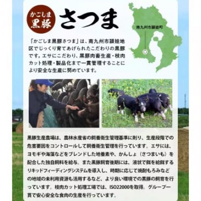 【発送月固定定期便】かごしま黒豚スライス定期便ハーフ全6回【配送不可地域：離島】