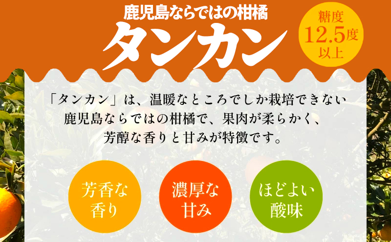 002-13 こだわりの薩摩濃密タンカン3kg