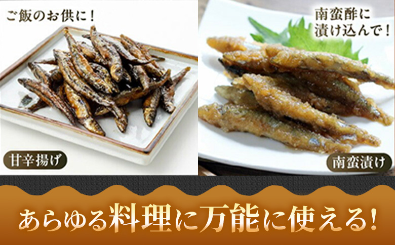 008-65 鹿児島県産キビナゴ丸ごと冷凍1.5kg