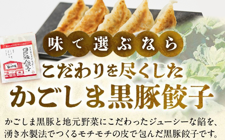 015-23 定番のかごしま黒豚餃子100個(タレ付）