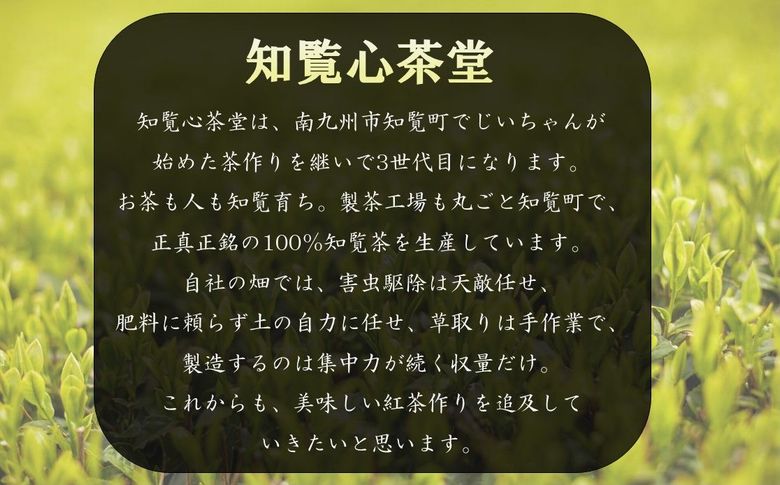 019-04 知覧紅茶ハートペコー 8袋セット