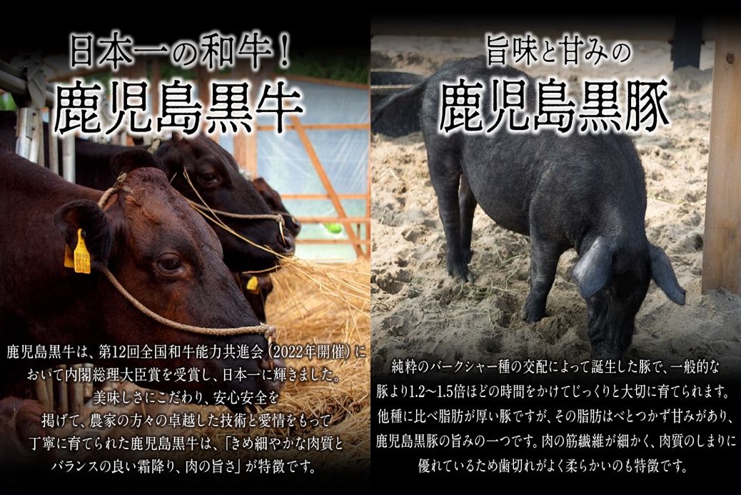 022-45 鹿児島黒牛ステーキ・黒豚とんかつセット