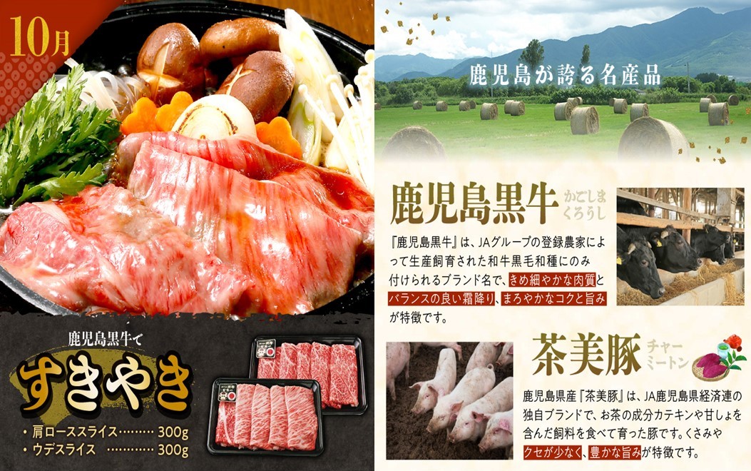 【全3回】鹿児島黒牛・茶美豚食べ比べ定期便 022-56