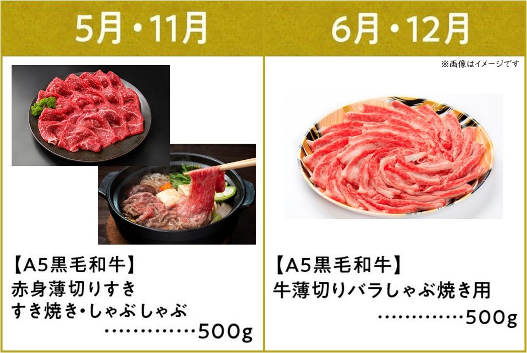 【全6回】鹿児島県産A5黒毛和牛霜降り・赤身食べ尽くし特選便3kg 027-95