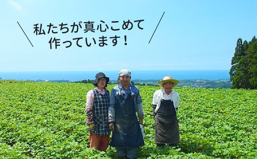 040-01-1 【お歳暮に】さつまいも3種おまかせ4kgセット