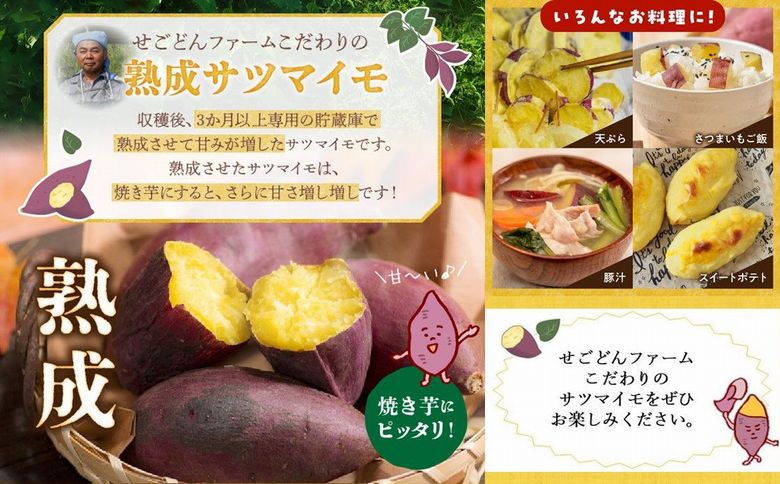 040-01 さつまいも3種おまかせ4kgセット