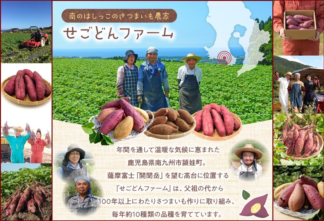 040-02 さつまいも「シルクスイート」5kg